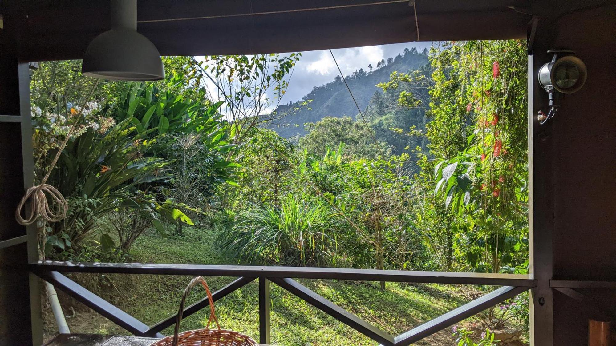 Lime Tree Farm, Blue Mountains Villa Mavis Bank Luaran gambar
