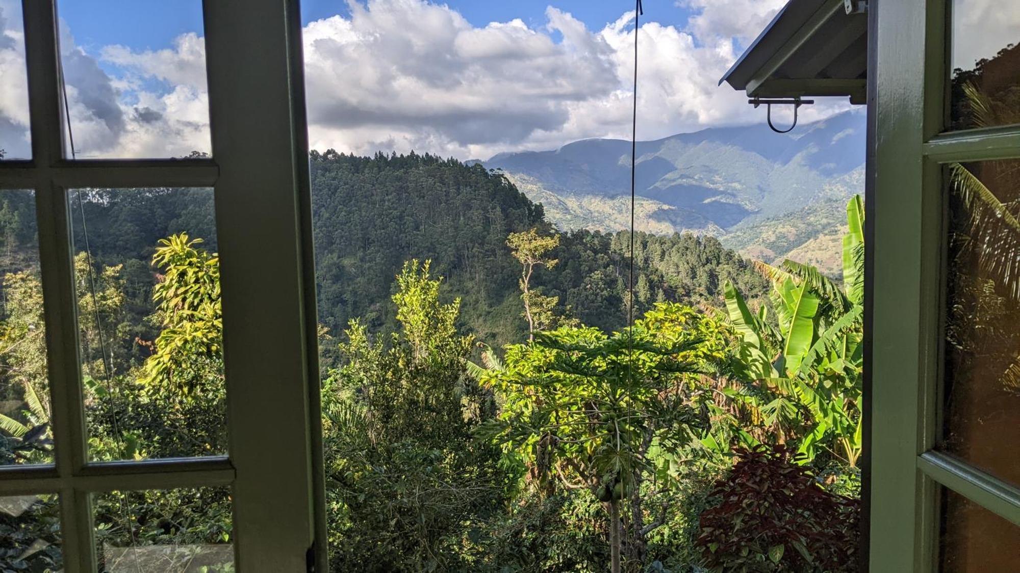 Lime Tree Farm, Blue Mountains Villa Mavis Bank Luaran gambar
