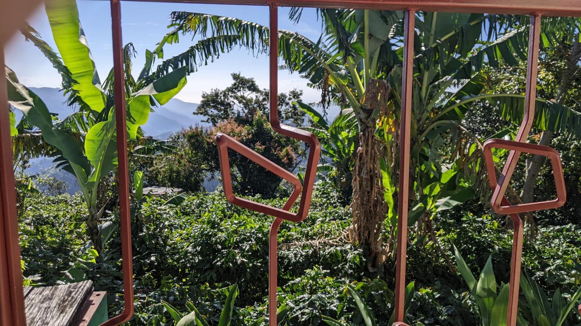 Lime Tree Farm, Blue Mountains Villa Mavis Bank Luaran gambar