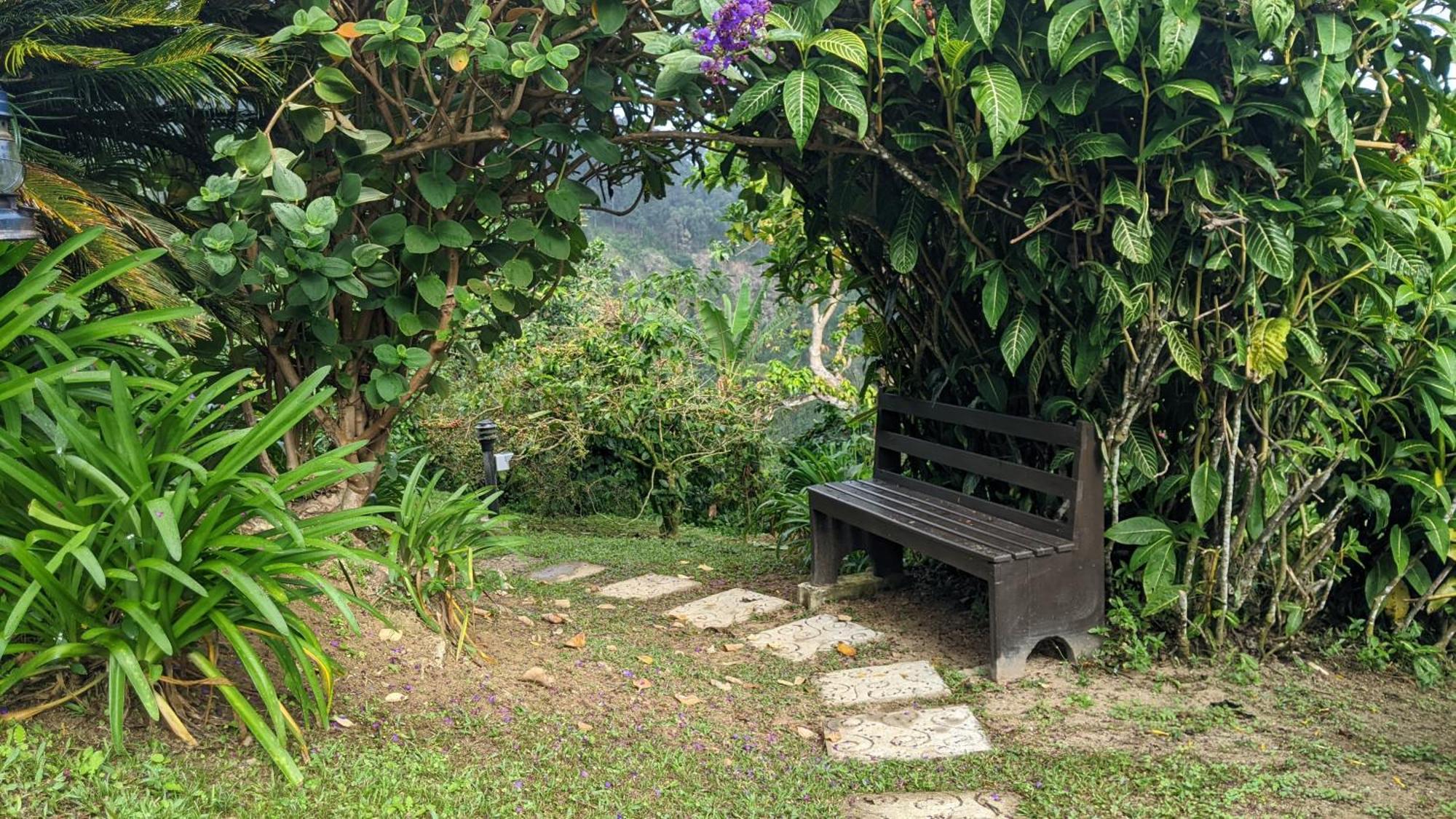 Lime Tree Farm, Blue Mountains Villa Mavis Bank Luaran gambar
